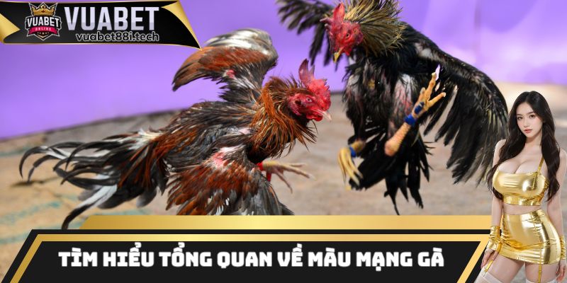 Giải mã khái niệm màu mạng gà là gì cho ai chưa biết